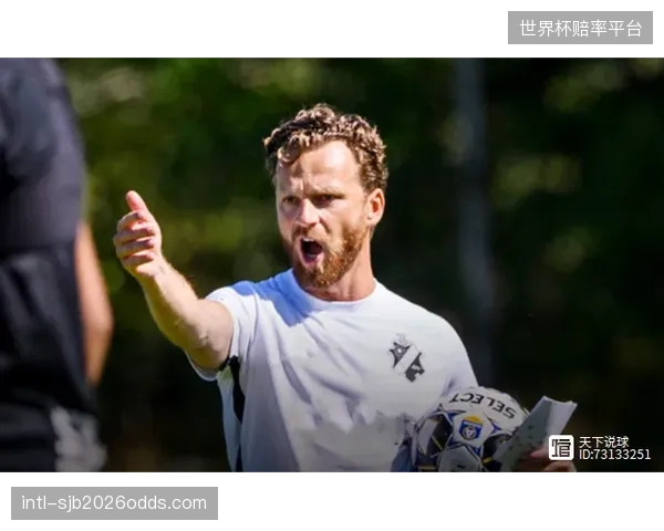 瑞典防线面临巨大压力，控制禁区前沿的二点球将是减少红黄牌的关键。